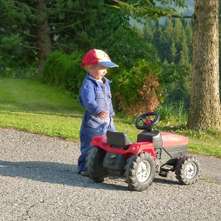 Ferienwohnungen Bachergut Mariapfarr Cameră foto