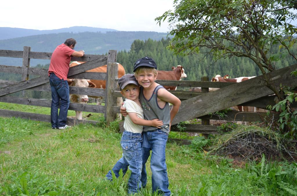 Ferienwohnungen Bachergut Mariapfarr Cameră foto