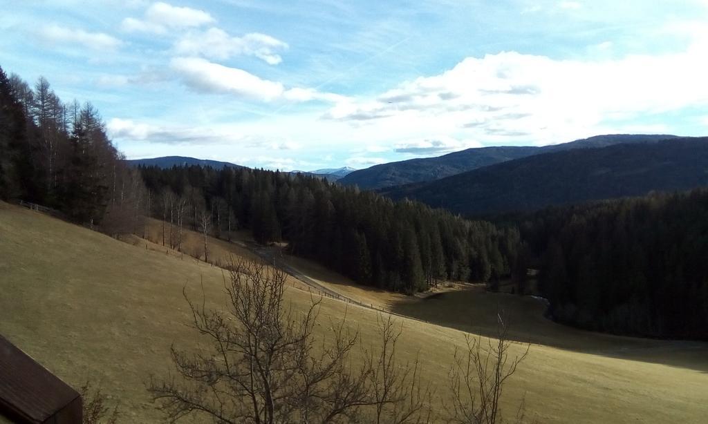 Ferienwohnungen Bachergut Mariapfarr Exterior foto